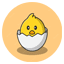 app img
