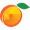 1603100395158_1606540726-wild-apricot.png