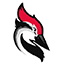 1717652277-Woodpecker.co_.png